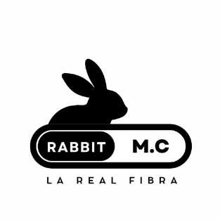 Rabbit Múltiples Conexiones